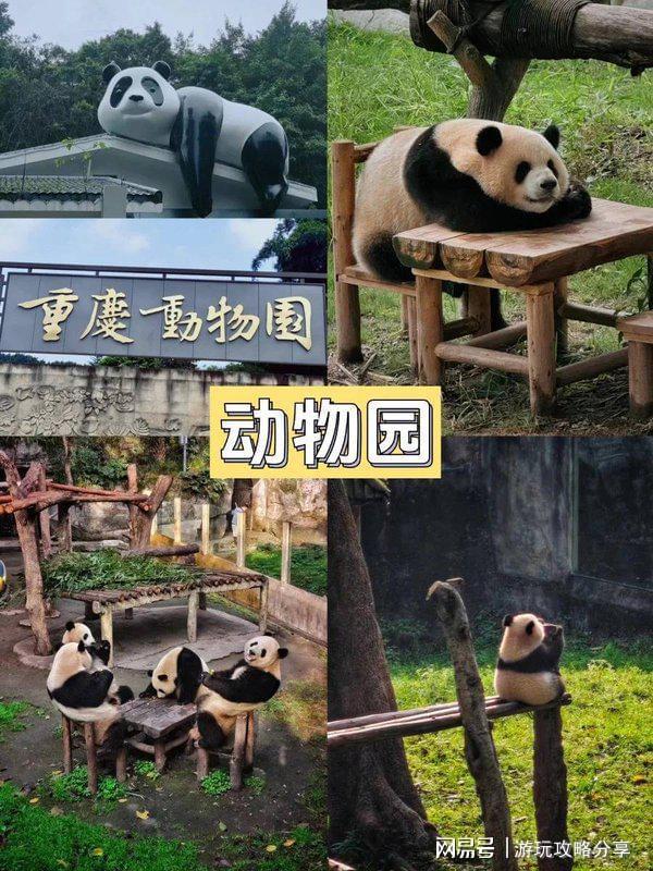 重庆有哪些旅游景点 亲身经历分享AG旗舰厅入口重庆旅游景点推荐(图5)