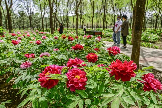 2：三大+书市+特色小镇打卡文旅新地标AG旗舰厅中国区120小时玩转副中心-(图3)